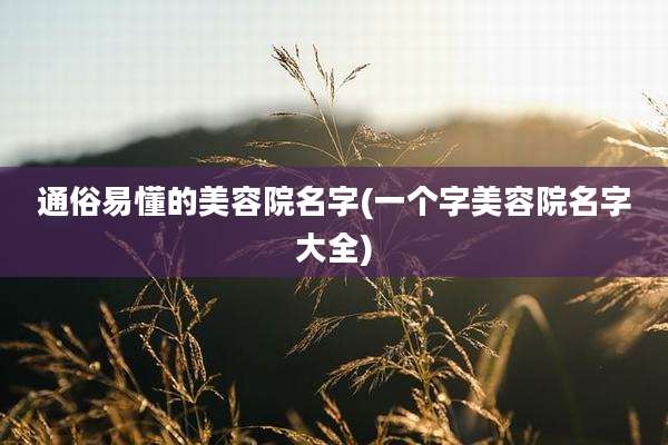 通俗易懂的美容院名字(一个字美容院名字大全)