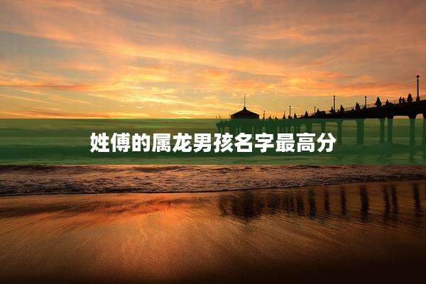 姓傅的属龙男孩名字最高分