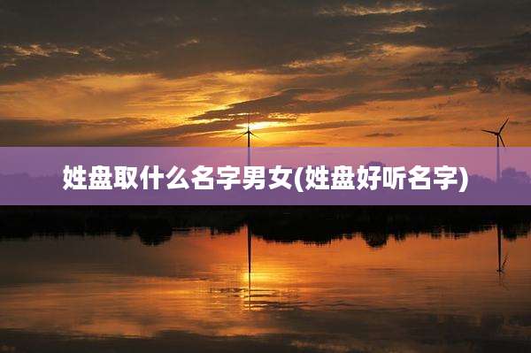姓盘取什么名字男女(姓盘好听名字)