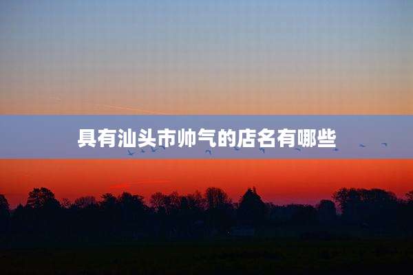 具有汕头市帅气的店名有哪些