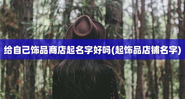 给自己饰品商店起名字好吗(起饰品店铺名字)