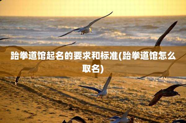 跆拳道馆起名的要求和标准(跆拳道馆怎么取名)