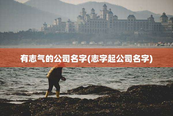 有志气的公司名字(志字起公司名字)