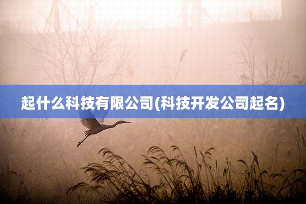 起什么科技有限公司(科技开发公司起名)