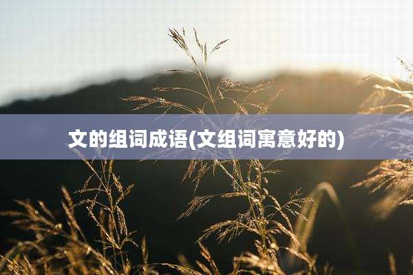 文的组词成语(文组词寓意好的)