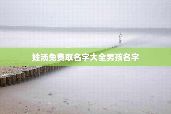 姓汤免费取名字大全男孩名字