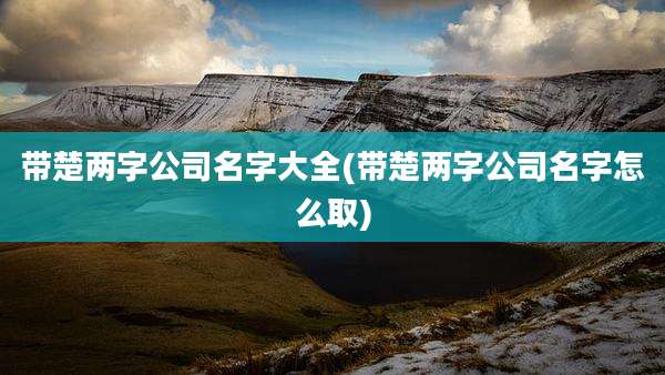 带楚两字公司名字大全(带楚两字公司名字怎么取)