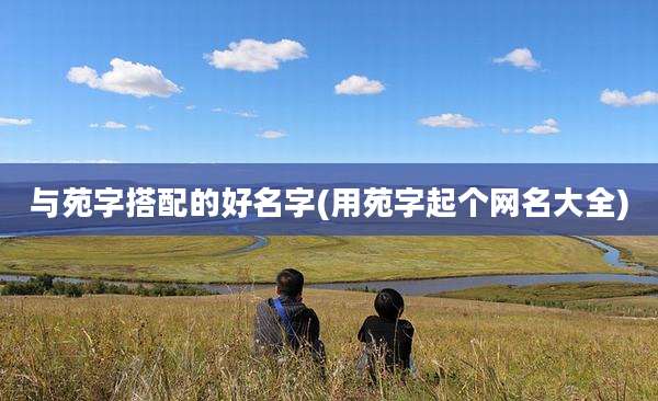 与苑字搭配的好名字(用苑字起个网名大全)