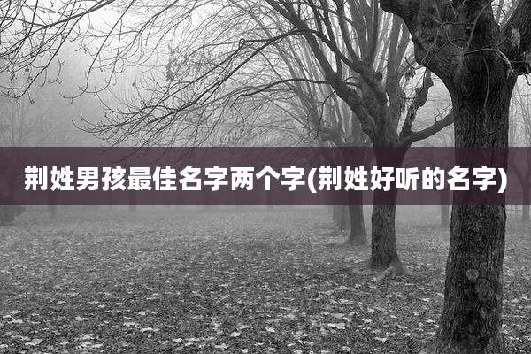 荆姓男孩最佳名字两个字(荆姓好听的名字)