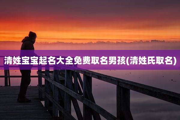 清姓宝宝起名大全免费取名男孩(清姓氏取名)