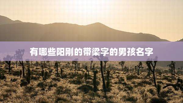 有哪些阳刚的带梁字的男孩名字