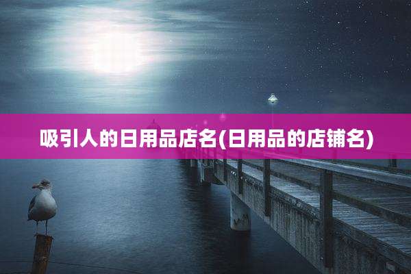 吸引人的日用品店名(日用品的店铺名)