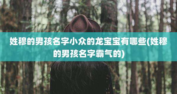姓穆的男孩名字小众的龙宝宝有哪些(姓穆的男孩名字霸气的)