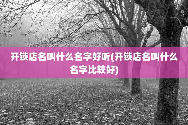 开锁店名叫什么名字好听(开锁店名叫什么名字比较好)