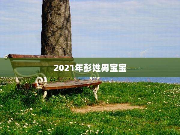 2021年彭姓男宝宝