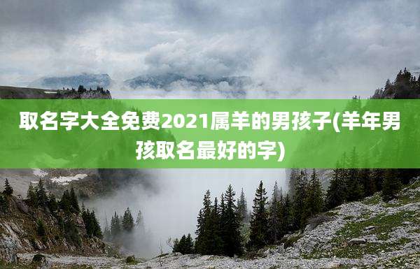 取名字大全免费2021属羊的男孩子(羊年男孩取名最好的字)