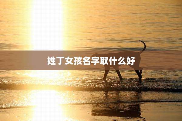 姓丁女孩名字取什么好