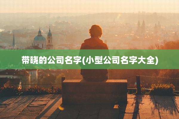 带晓的公司名字(小型公司名字大全)