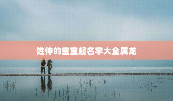 姓仲的宝宝起名字大全属龙
