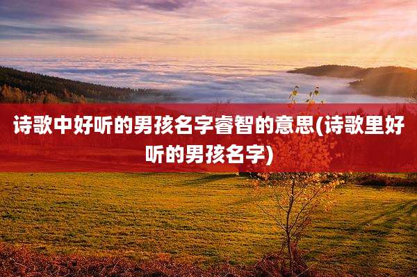 诗歌中好听的男孩名字睿智的意思(诗歌里好听的男孩名字)