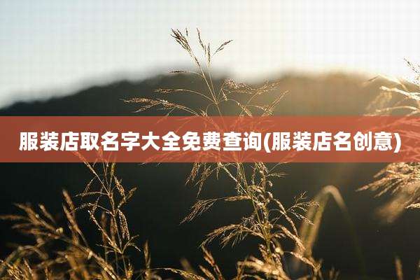 服装店取名字大全免费查询(服装店名创意)