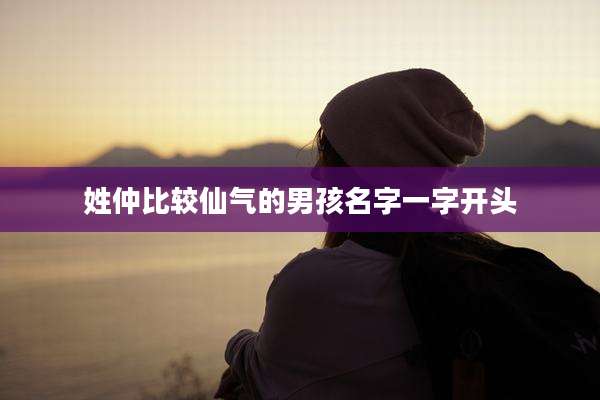 姓仲比较仙气的男孩名字一字开头