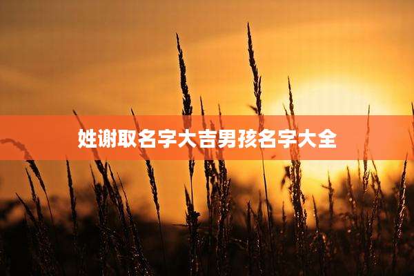 姓谢取名字大吉男孩名字大全