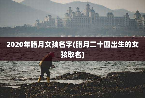 2020年腊月女孩名字(腊月二十四出生的女孩取名)