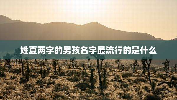 姓夏两字的男孩名字最流行的是什么