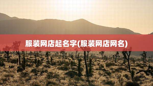 服装网店起名字(服装网店网名)
