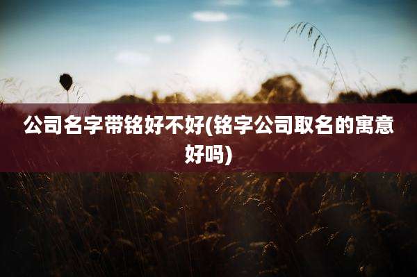 公司名字带铭好不好(铭字公司取名的寓意好吗)