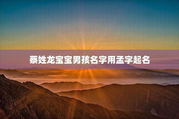 蔡姓龙宝宝男孩名字用孟字起名
