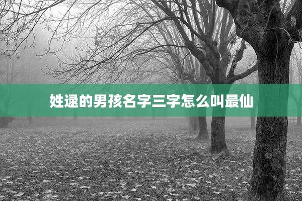 姓逯的男孩名字三字怎么叫最仙