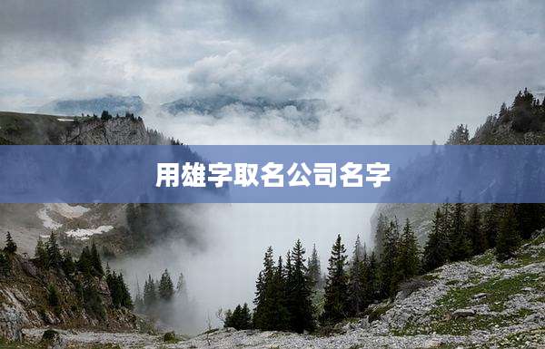用雄字取名公司名字