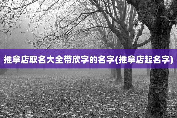 推拿店取名大全带欣字的名字(推拿店起名字)