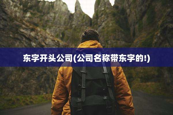 东字开头公司(公司名称带东字的!)