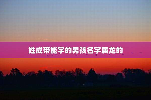 姓成带能字的男孩名字属龙的