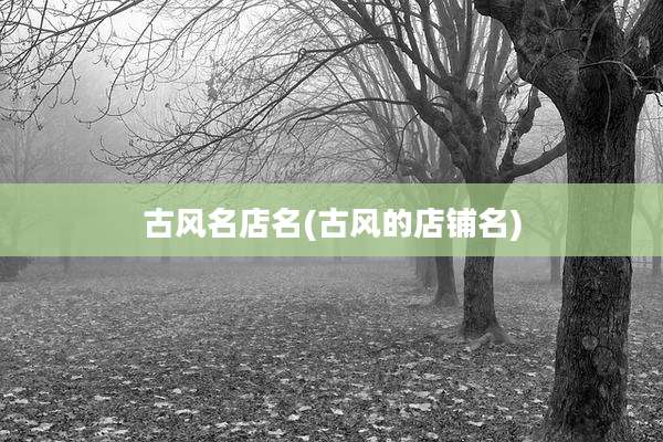 古风名店名(古风的店铺名)