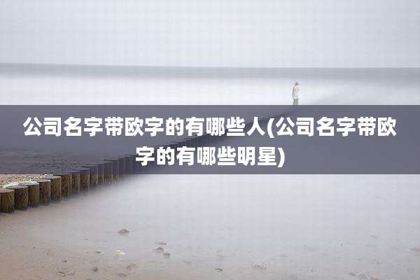 公司名字带欧字的有哪些人(公司名字带欧字的有哪些明星)