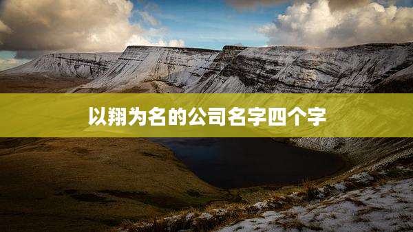 以翔为名的公司名字四个字