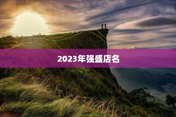 2023年强盛店名