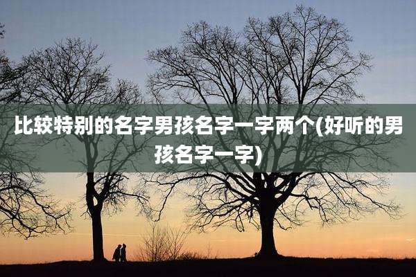 比较特别的名字男孩名字一字两个(好听的男孩名字一字)