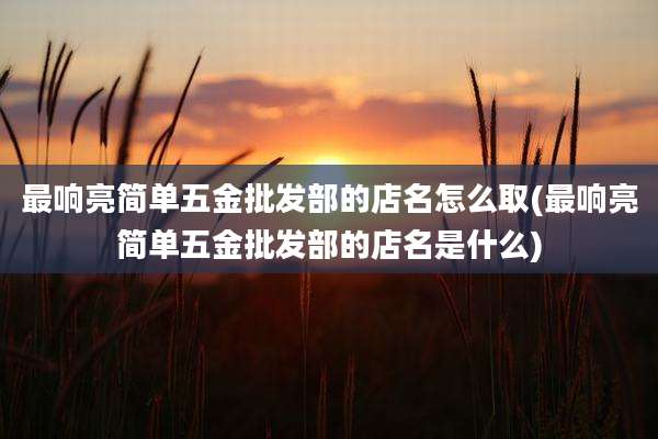 最响亮简单五金批发部的店名怎么取(最响亮简单五金批发部的店名是什么)