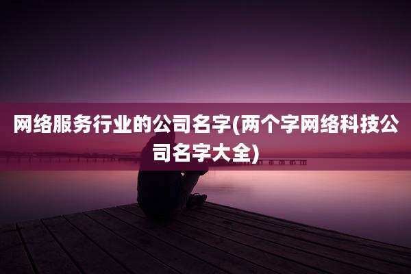 网络服务行业的公司名字(两个字网络科技公司名字大全)