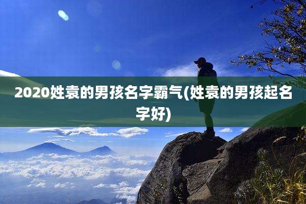 2020姓袁的男孩名字霸气(姓袁的男孩起名字好)