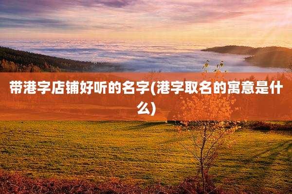 带港字店铺好听的名字(港字取名的寓意是什么)