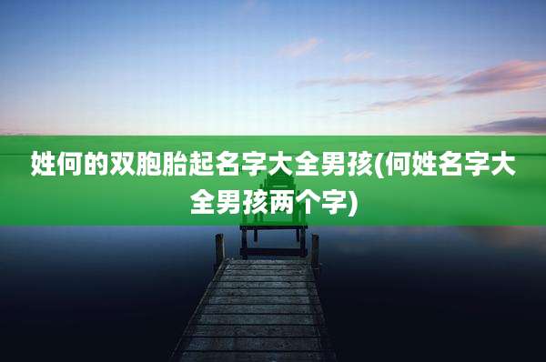 姓何的双胞胎起名字大全男孩(何姓名字大全男孩两个字)