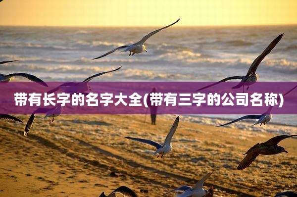 带有长字的名字大全(带有三字的公司名称)