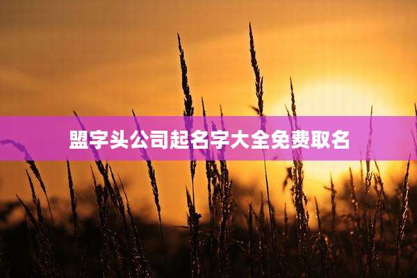 盟字头公司起名字大全免费取名