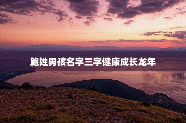 鲍姓男孩名字三字健康成长龙年